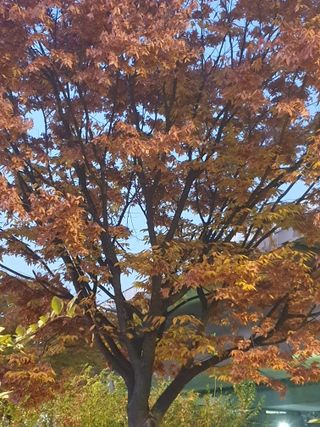 허굴산농장님의 자유주제 · 자유게시판 작성글 사진