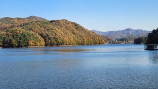 알 수 없음님의 자유주제 · 자유게시판 작성글 사진