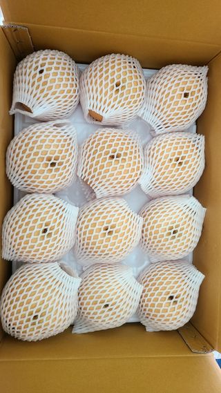 윤성한님의 작성글 사진