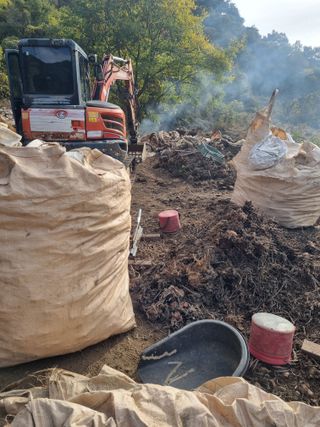 이호성님의 자유주제 · 자유게시판 작성글 사진
