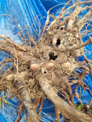 이호성님의 자유주제 · 자유게시판 작성글 사진