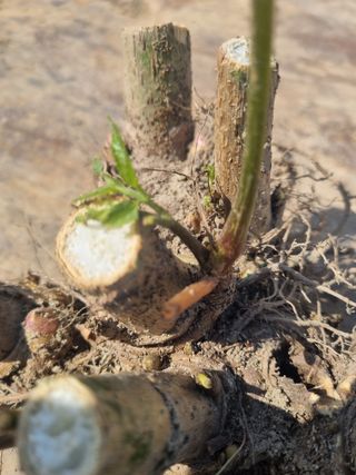 이호성님의 자유주제 · 자유게시판 작성글 사진