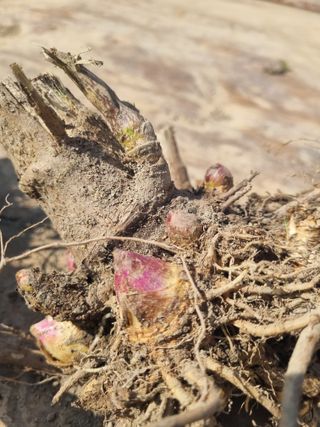 이호성님의 자유주제 · 자유게시판 작성글 사진