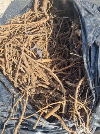 이호성님의 자유주제 · 자유게시판 작성글 사진