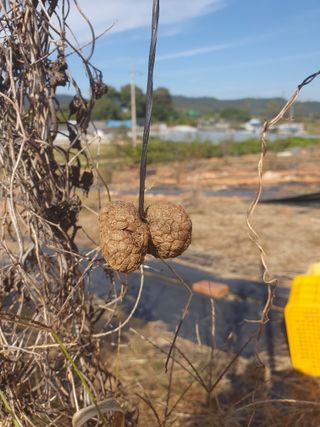 마바리63님의 작성글 사진