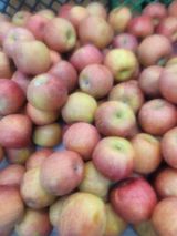 팜모닝 자유주제·자유게시판 게시글 이미지