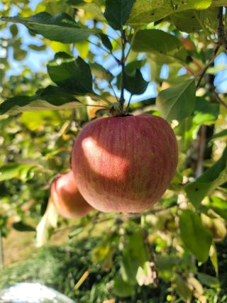 김재현님의 자유주제 · 자유게시판 작성글 사진
