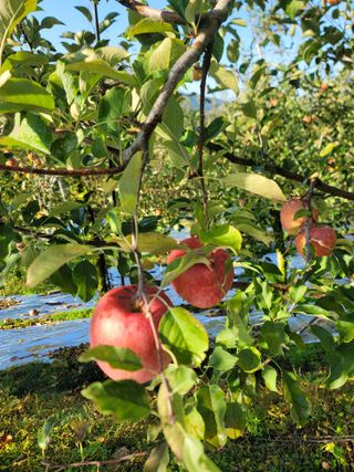 김재현님의 자유주제 · 자유게시판 작성글 사진