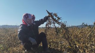 윤충기님의 자유주제 · 자유게시판 작성글 사진