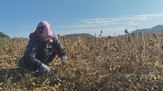 윤충기님의 자유주제 · 자유게시판 작성글 사진