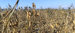 윤충기님의 자유주제 · 자유게시판 작성글 사진