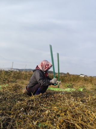 윤충기님의 자유주제 · 자유게시판 작성글 사진