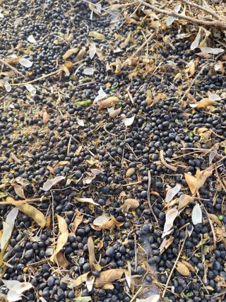 윤충기님의 자유주제 · 자유게시판 작성글 사진