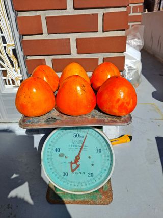 정백영님의 자유주제 · 자유게시판 작성글 사진