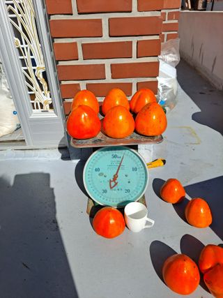 정백영님의 자유주제 · 자유게시판 작성글 사진