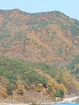팜모닝 자유주제·자유게시판 게시글 이미지