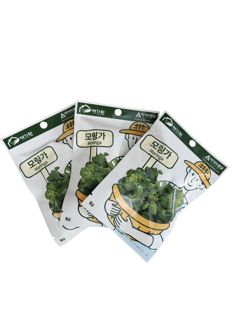 안산제일농약사님의 장터 판매 상품 [모링가씨앗 5g 3봉] 첨부 사진