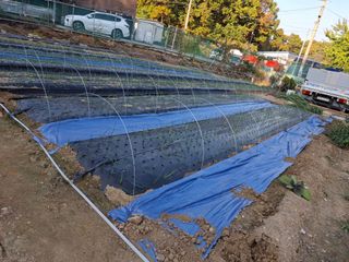 문영식님의 자유주제 · 자유게시판 작성글 사진