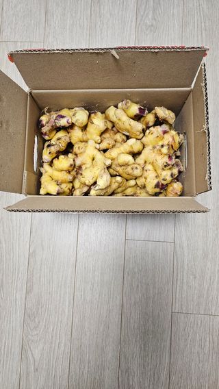 시아님의 👀최근 산 것은? · 참여글 작성글 사진