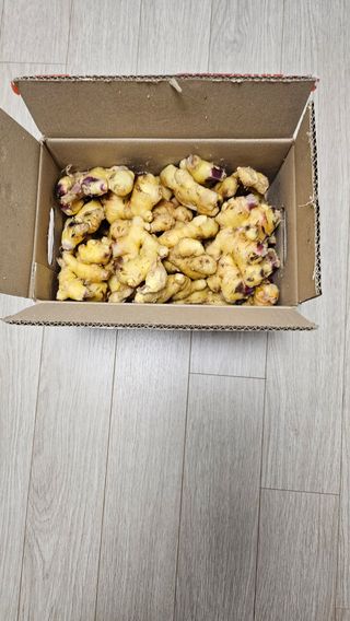 시아님의 👀최근 산 것은? · 참여글 작성글 사진