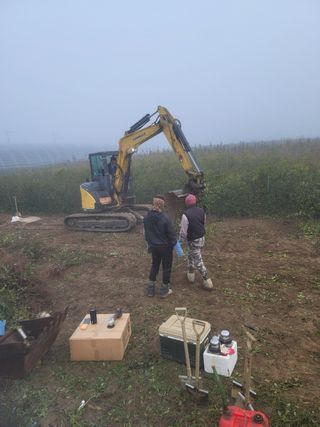 일심묘목농원님의 자유주제 · 자유게시판 작성글 사진