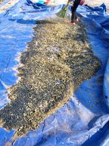 팜모닝 · 게시글 이미지