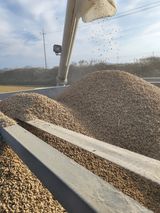 팜모닝 · 게시글 이미지