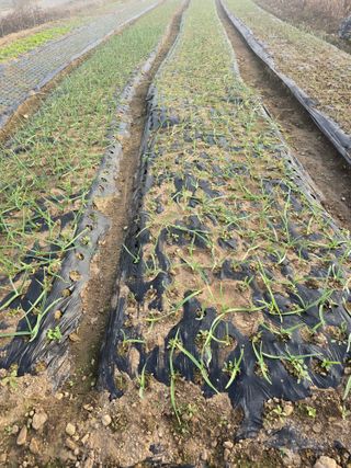 김유숙님의 자유주제 · 자유게시판 작성글 사진