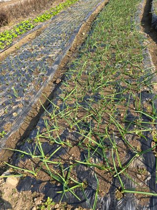 김유숙님의 자유주제 · 자유게시판 작성글 사진