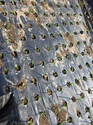 김유숙님의 자유주제 · 자유게시판 작성글 사진