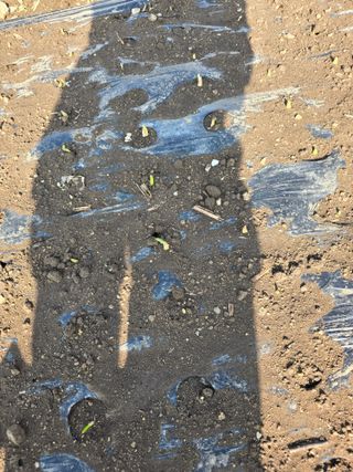 김유숙님의 자유주제 · 자유게시판 작성글 사진