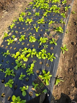 김유숙님의 자유주제 · 자유게시판 작성글 사진