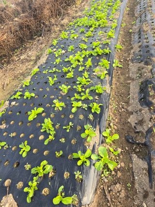 김유숙님의 자유주제 · 자유게시판 작성글 사진