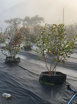 김유숙님의 자유주제 · 자유게시판 작성글 사진