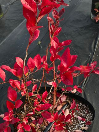 김유숙님의 자유주제 · 자유게시판 작성글 사진