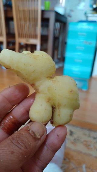 박순덕님의 자유주제 · 자유게시판 작성글 사진