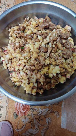 박순덕님의 자유주제 · 자유게시판 작성글 사진