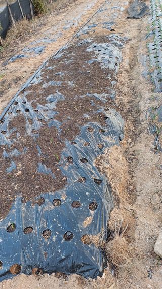 박순덕님의 자유주제 · 자유게시판 작성글 사진