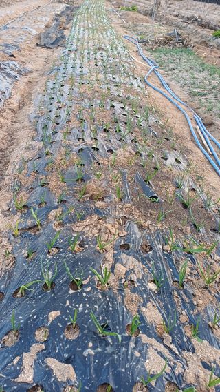 박순덕님의 자유주제 · 자유게시판 작성글 사진