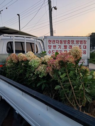 전희분님의 자유주제 · 사진전 작성글 사진