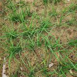 팜모닝 자유주제·자유게시판 게시글 이미지