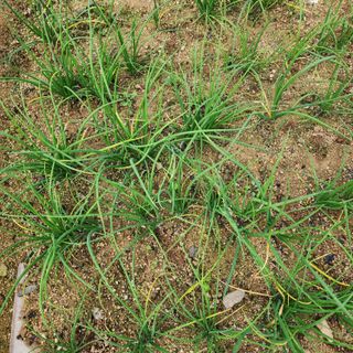 박동현님의 자유주제 · 자유게시판 작성글 사진