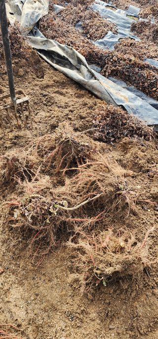 박동현님의 자유주제 · 자유게시판 작성글 사진