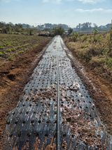 팜모닝 자유주제·자유게시판 게시글 이미지