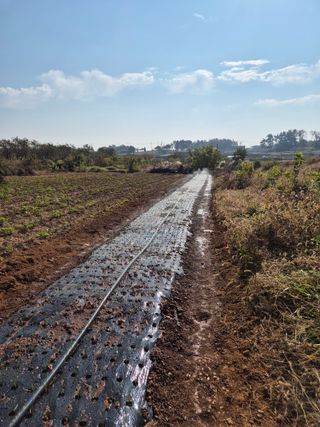 송하영님의 자유주제 · 자유게시판 작성글 사진