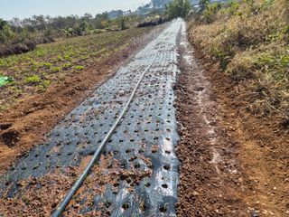 송하영님의 자유주제 · 자유게시판 작성글 사진