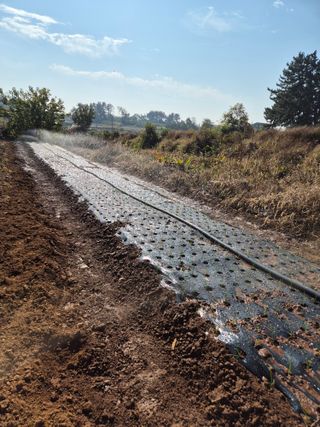 송하영님의 자유주제 · 자유게시판 작성글 사진