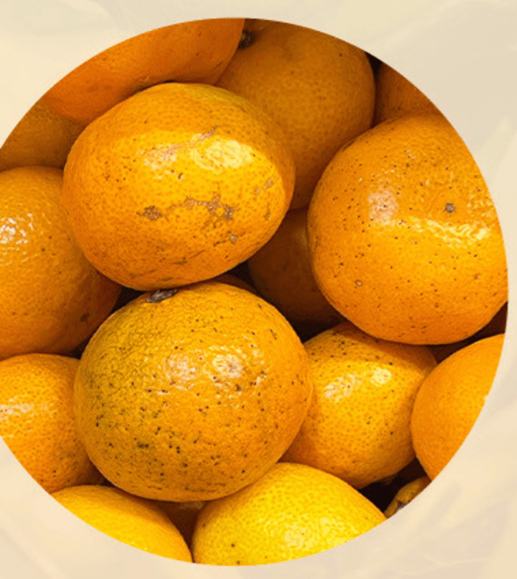 새달귤농장님의 장터 판매 상품 [(한정판매)자연의 맛 2.5키로] 첨부 사진