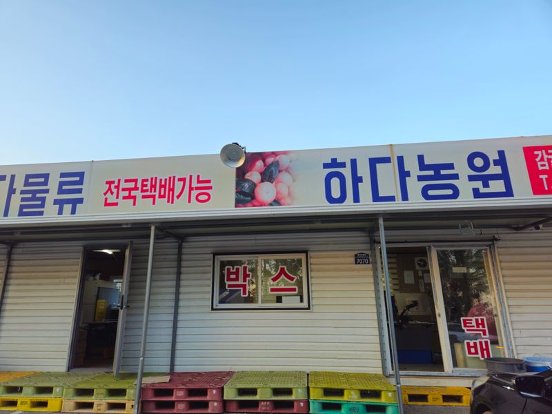 새달귤농장님의 장터 판매 상품 [(한정판매)자연의 맛 2.5키로] 첨부 사진