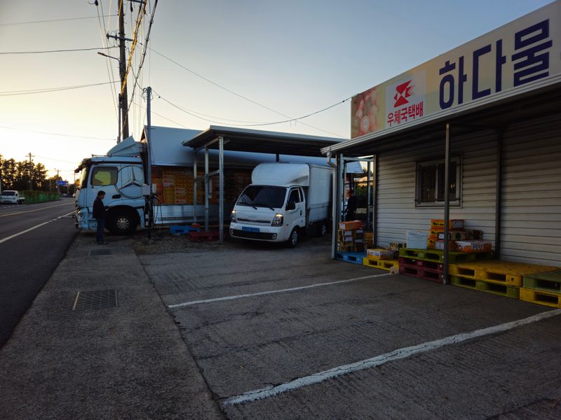 새달귤농장님의 장터 판매 상품 [(한정판매)자연의 맛 2.5키로] 첨부 사진